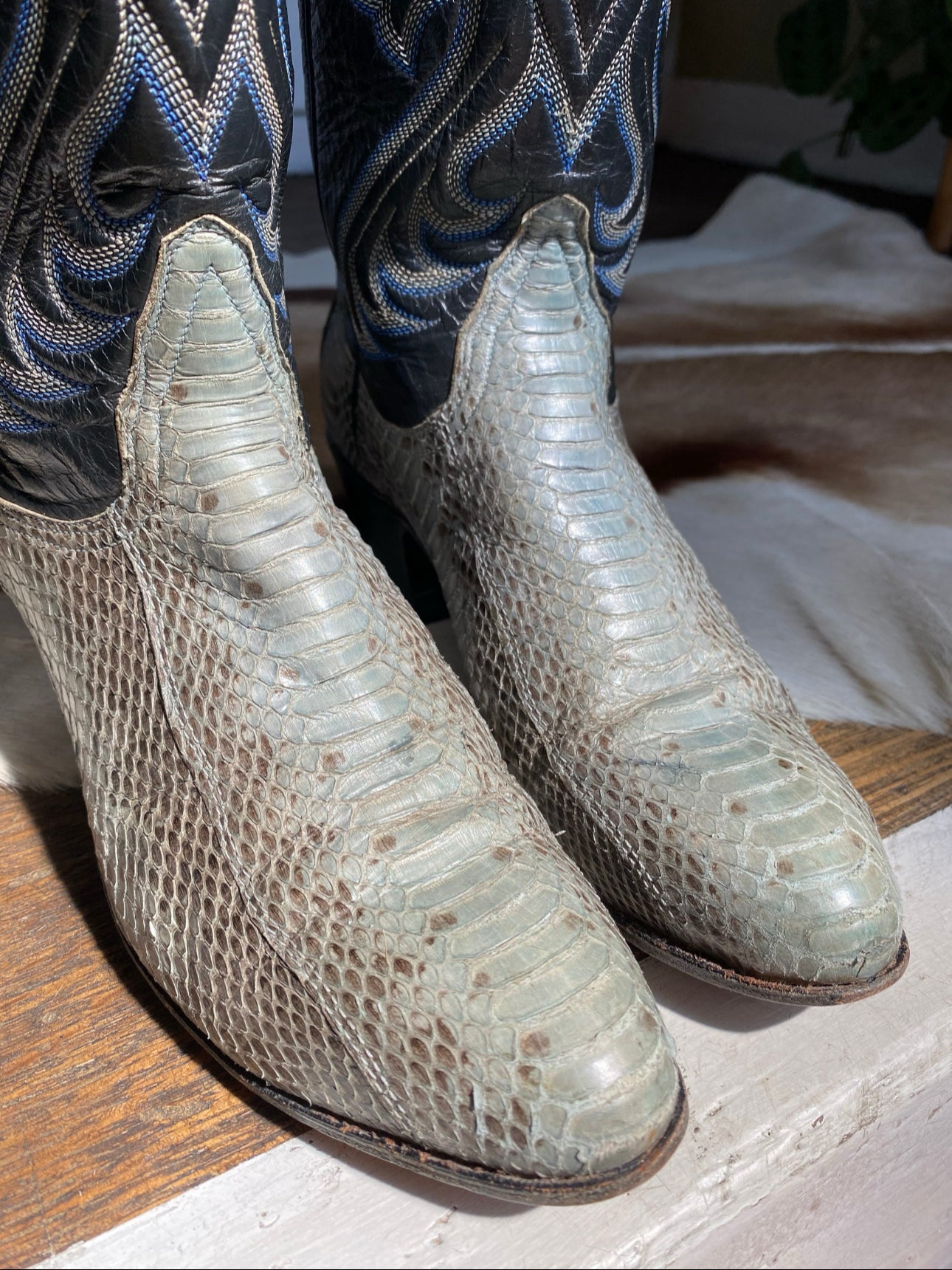 Vintage Tony Lama Python Leather Boots, Womens 5B